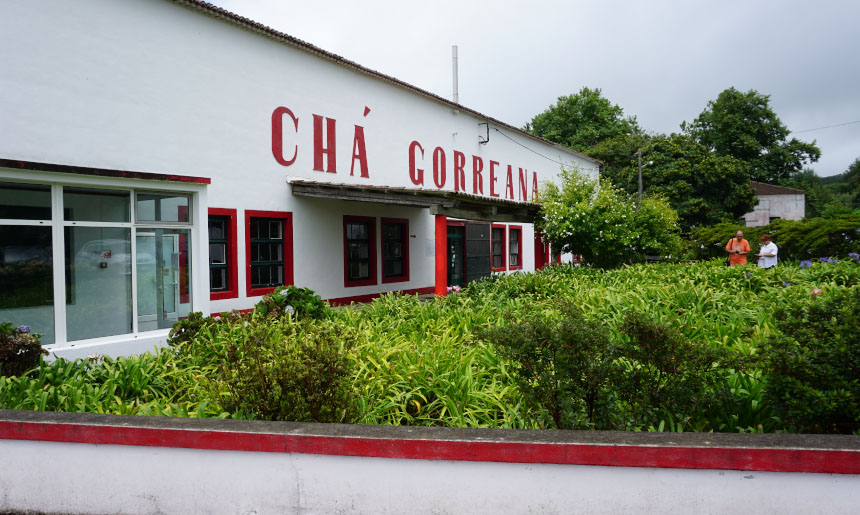 Sao Miguel Chá Gorreana